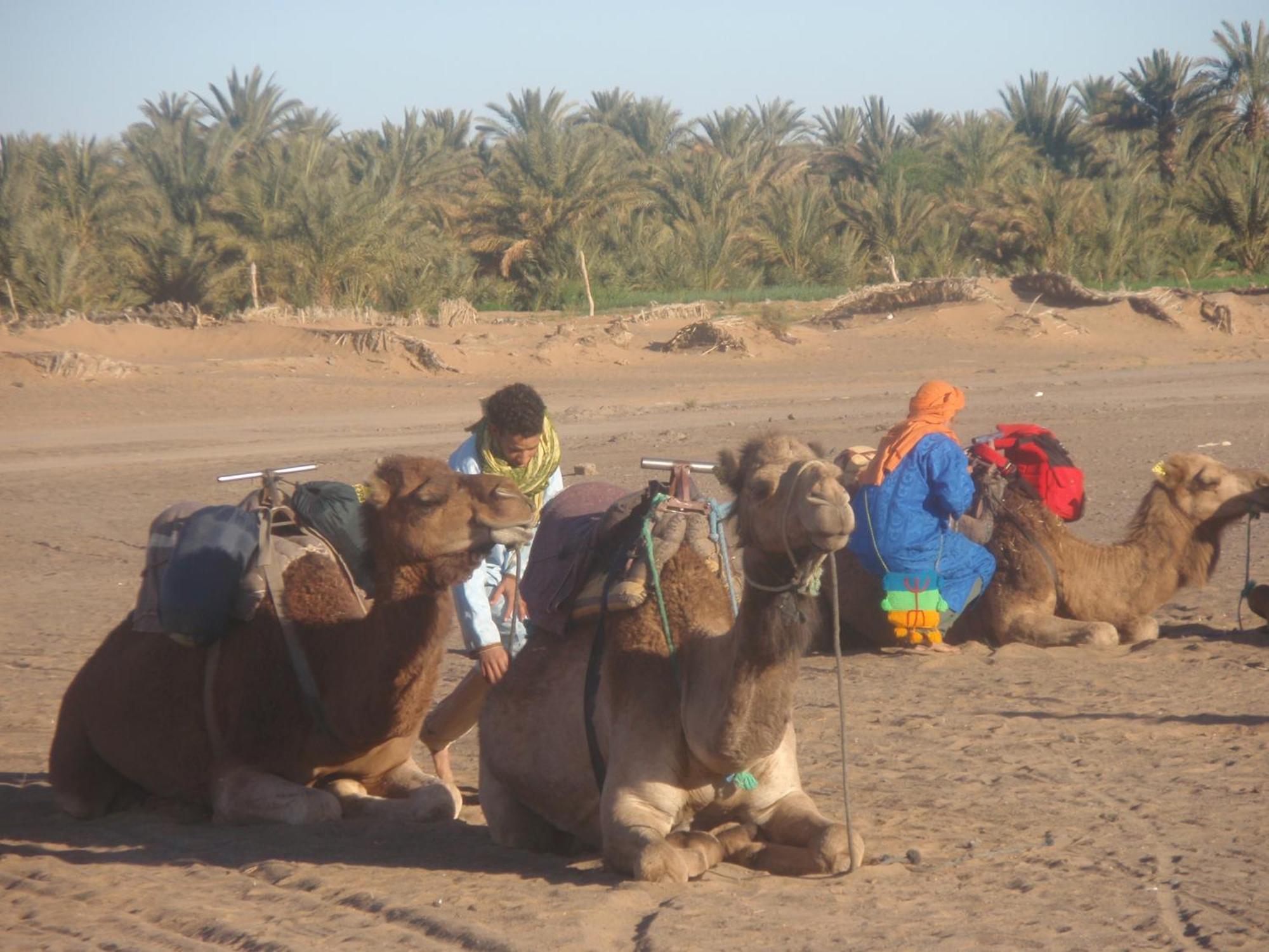 Riad Aicha & Camel Trekking Merzouga Zewnętrze zdjęcie