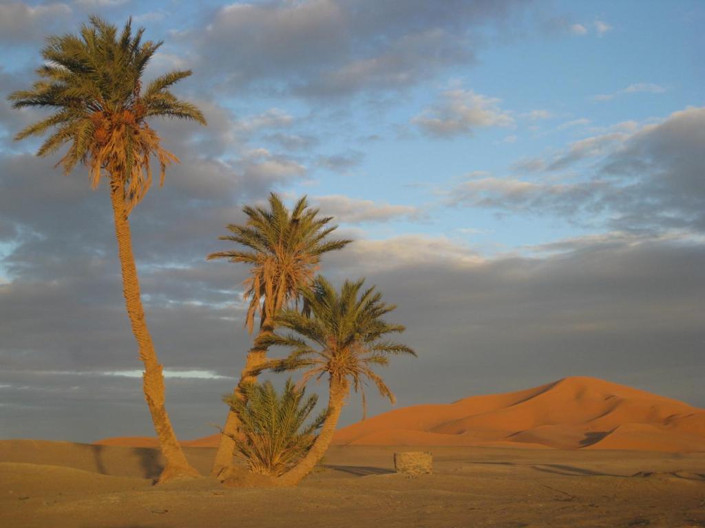 Riad Aicha & Camel Trekking Merzouga Zewnętrze zdjęcie